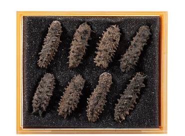 Premium Kanto Sea Cucumber (Japan Origin)
